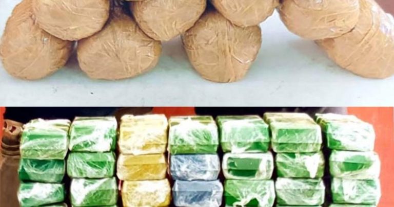 Police Crackdown on Drug Trade in Nagaland