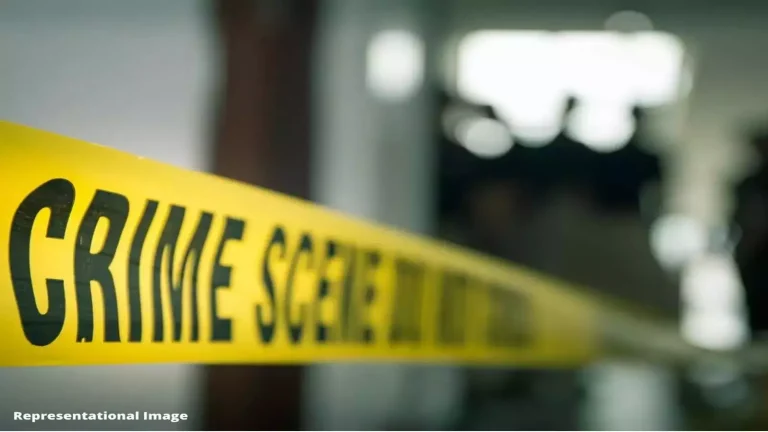 State-Wide Crime Trends and Regional Variations