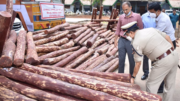 AP Police Crackdown on Illegal Red Sanders Smuggling