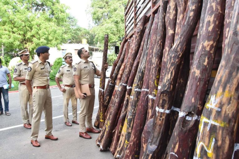 Himachal Police Seize Illegal Timber in Solan District