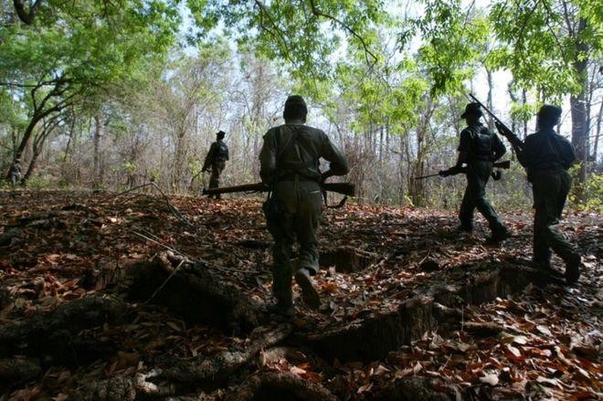 10 Maoist Rebels Killed in Sukma Encounter with Security Forces