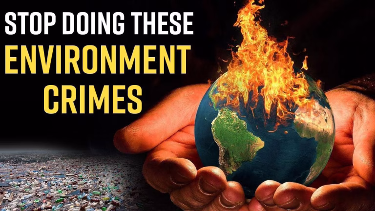 Tackling Environmental Crimes in Punjab
