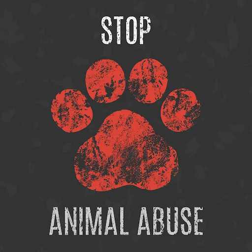 Puducherry Fights Animal Cruelty with New Laws and Awareness