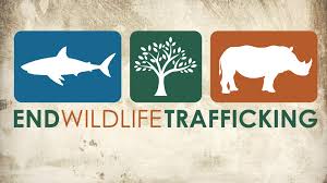 Police Efforts to Combat Wildlife Trafficking in Mizoram