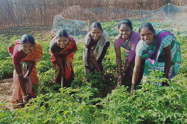 Safety and Security of Tribal Communities in Andaman