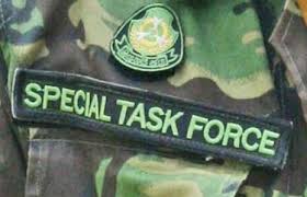 Special Task Force (STF)