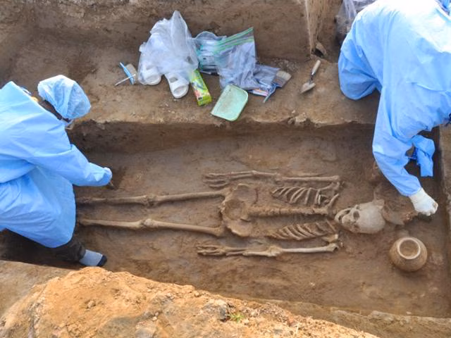 Human Skeleton Found in Sabari – Police Investigate