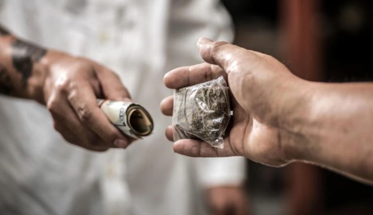Haryana’s Battle Against Drugs