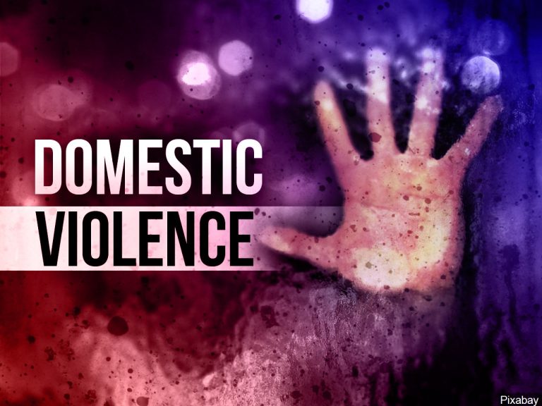 Understanding Police Training in Domestic Violence
