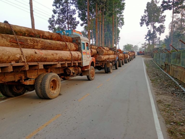 Itanagar Police Crack Down on Illegal Timber Smuggling
