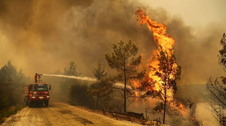 Police Role in Preventing Forest Fires in Meghalaya