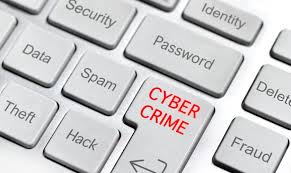 Rise in Cybercrimes in Goa