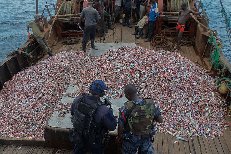 Illegal Fishing, Poaching, and Smuggling in Andaman