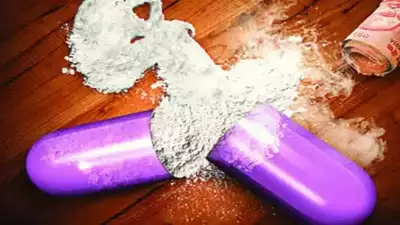 Seizures of Illicit Drugs