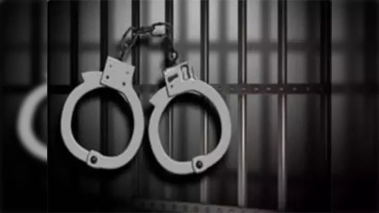 Maharashtra Police Bust Illegal Rave Party, Arrest 20