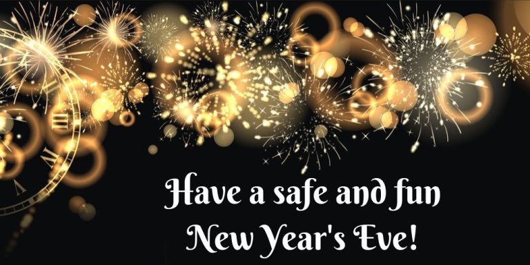 Tamil Nadu Police Ensure Safe New Year Celebrations