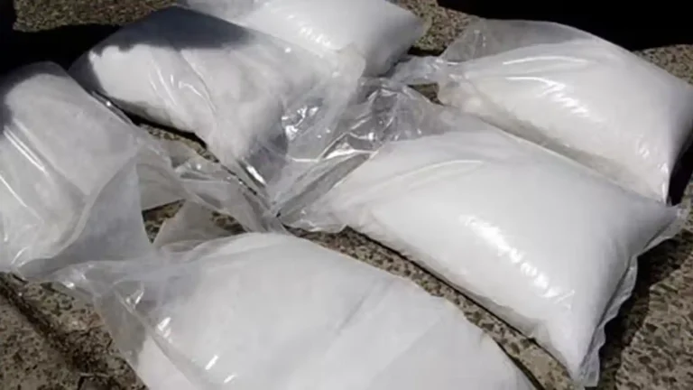 Drug Seizures and Arrests by Telangana Police