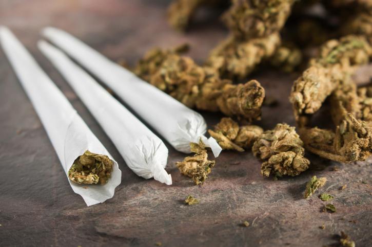 Bihar Police Destroys ₹3.5 Crore Cannabis