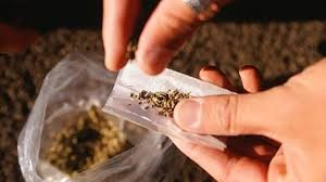 Odisha Police Crackdown on Drug Trafficking