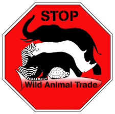 Police Combat Wildlife Trafficking in Meghalaya