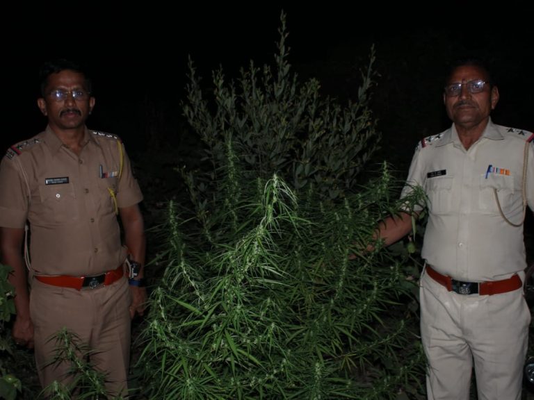 ANC Goa Seizes ₹9.2 Lakh in Drugs; Dismantles Ganja Network