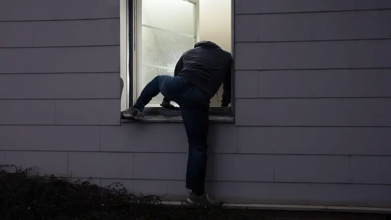 Police Efforts to Tackle Murders and Thefts
