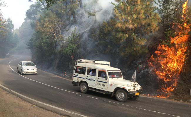 How Police Are Addressing Human Negligence