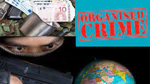 Kerala Police Crackdown on Gang Violence and Organized Crime