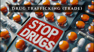 Major Drug Busts and Anti-Abuse Measures