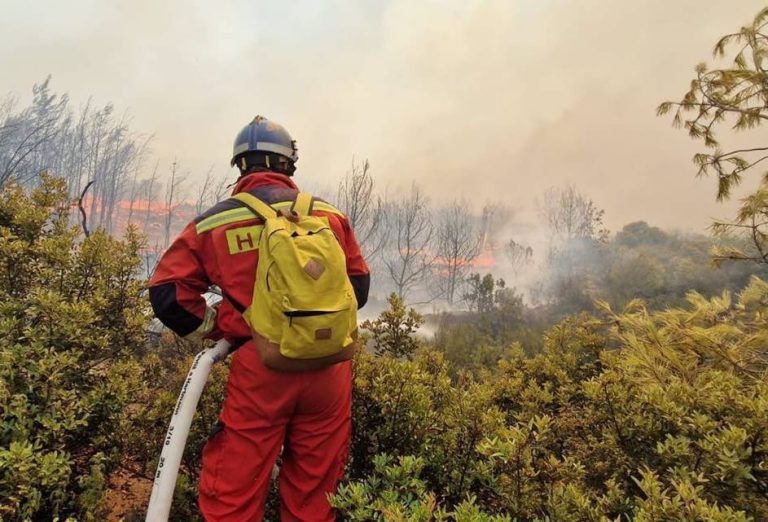 Karnataka Police Act on Forest Fires, Environmental Crimes