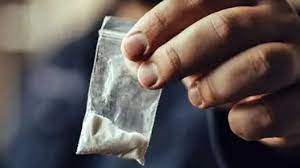 Goa Police Seize Major Drug Shipment in Narcotics Bust