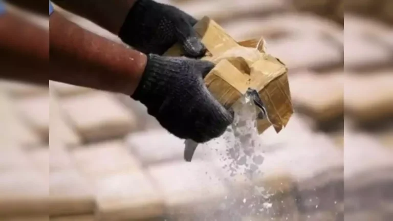 Gujarat Police Seize Large Quantity of Illegal Drugs