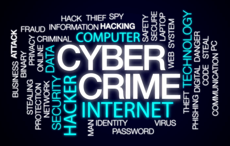 Maharashtra Police Bust Cybercrime Network, Arrest 10