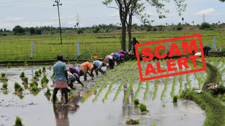 The Impact of Crime on Odisha’s Farmers