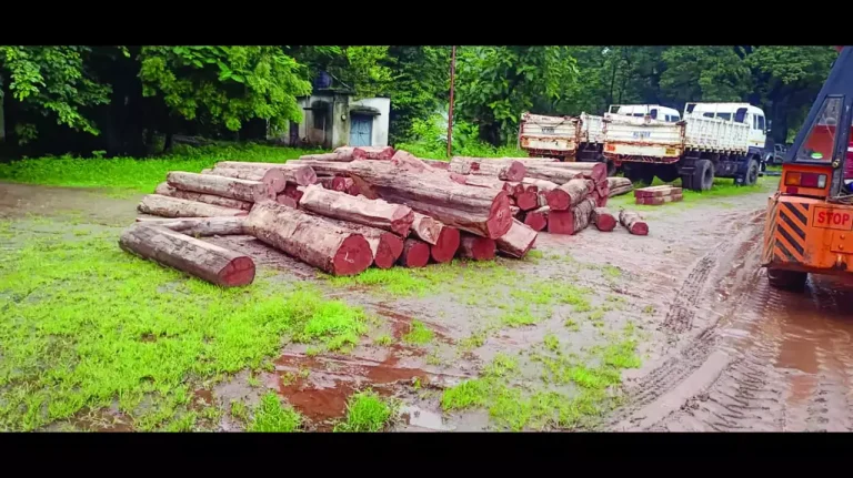 Timber Smugglers Arrested in Jharkhand After Police Operation