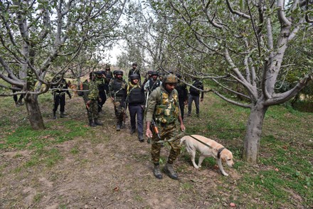 Assam’s Police and Security Forces Deliver Major Blow