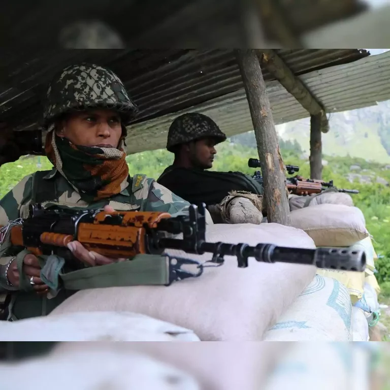 Effective Border Security Measures in Assam