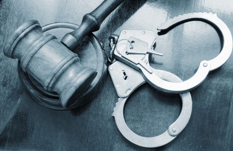 Collaborative Policing: Tackling Crime Across Jurisdictions