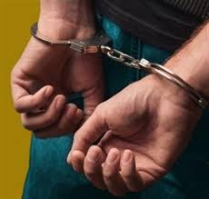 Recent Criminal Activities and Police Actions in Gujarat
