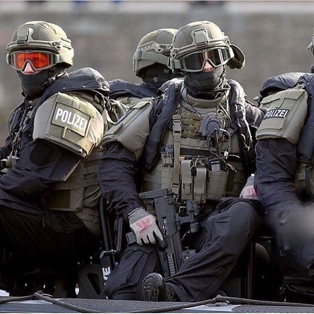 Specialized Police Forces: Tackling Specific Crimes