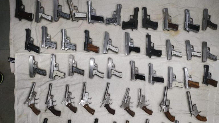 Delhi Police Seizes Illegal Firearms Ahead of Republic Day