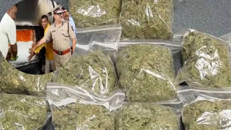 Anti-Narcotics Police Seize Ganja Parcel in Andaman