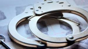 Maid Arrested in Srinagar for Jewelry Theft