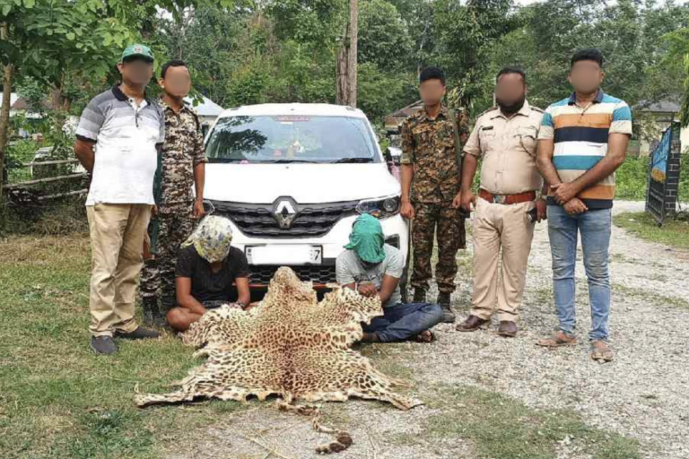 MP Police, Forest Dept Bust Wildlife Poaching Ring