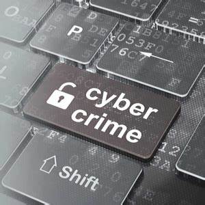 Combating Cybercrime in Nagaland: Awareness and Enforcement