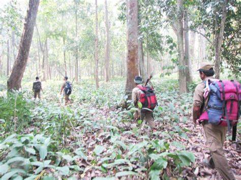 Fighting Wildlife Smuggling in Nagaland