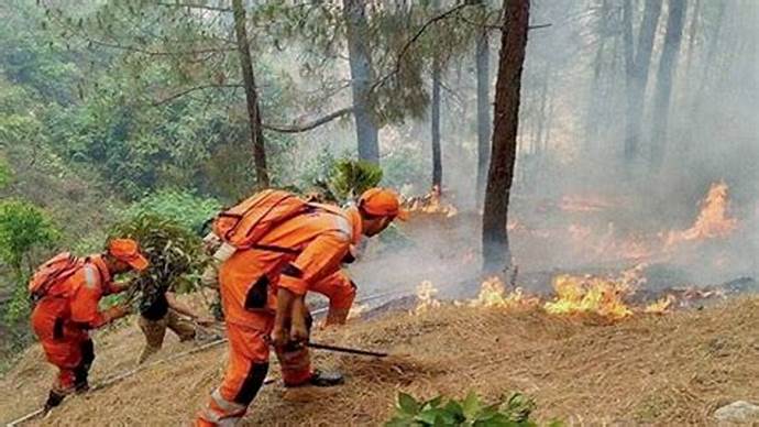 Forest Fires Rage in Himachal Pradesh