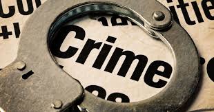 Record Low Crime Rates During Sankranti in Andhra Pradesh