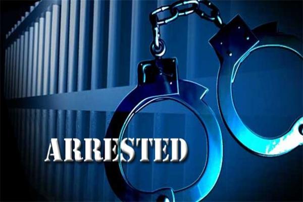 Six Drug Peddlers Arrested in Kashmir: J&K Police