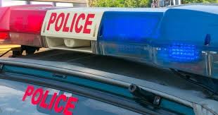 Telangana Police Form Teams to Arrest Men Who Shot Travel